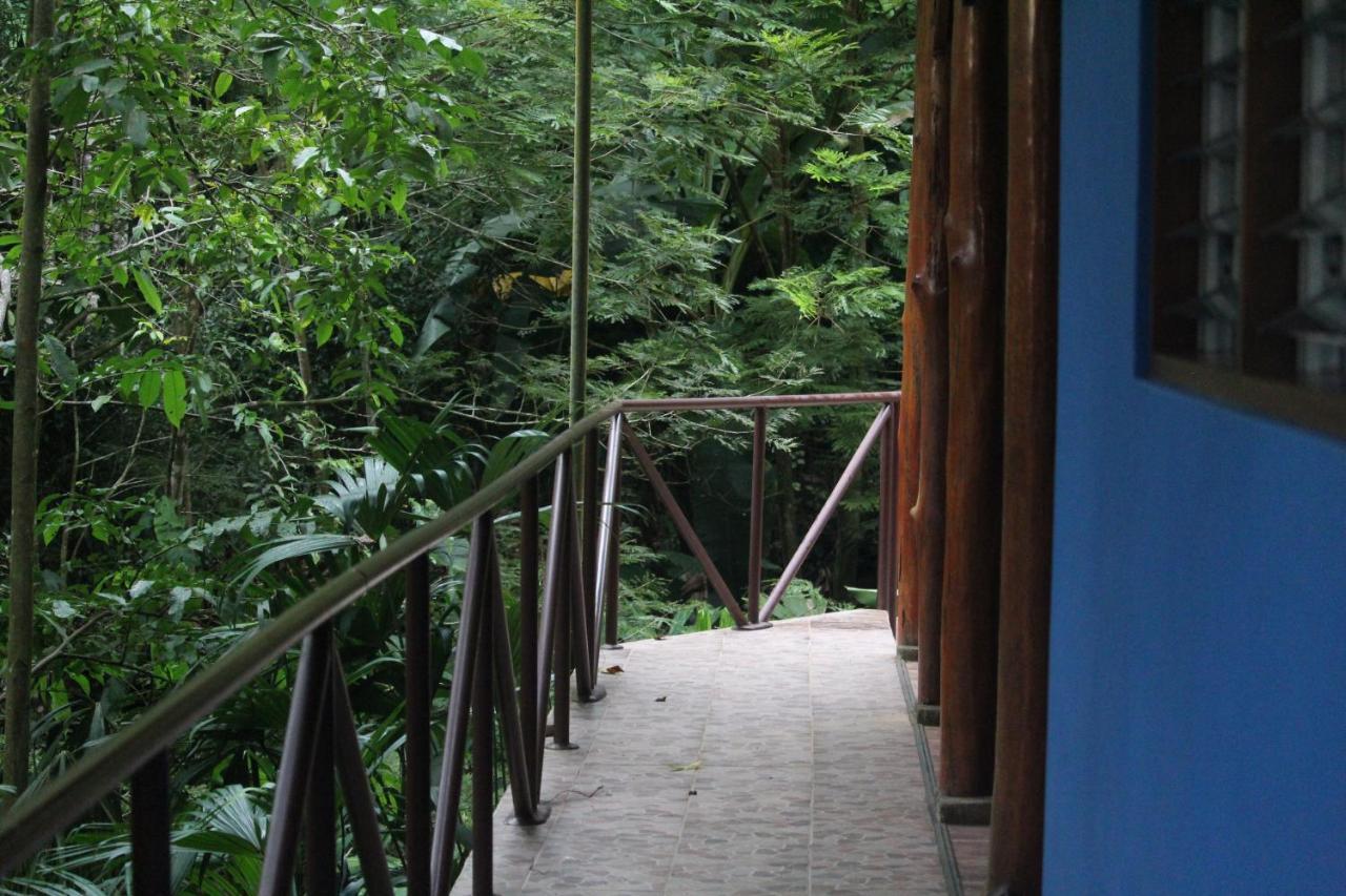 Iguana Libre Hotel Dominical Kültér fotó
