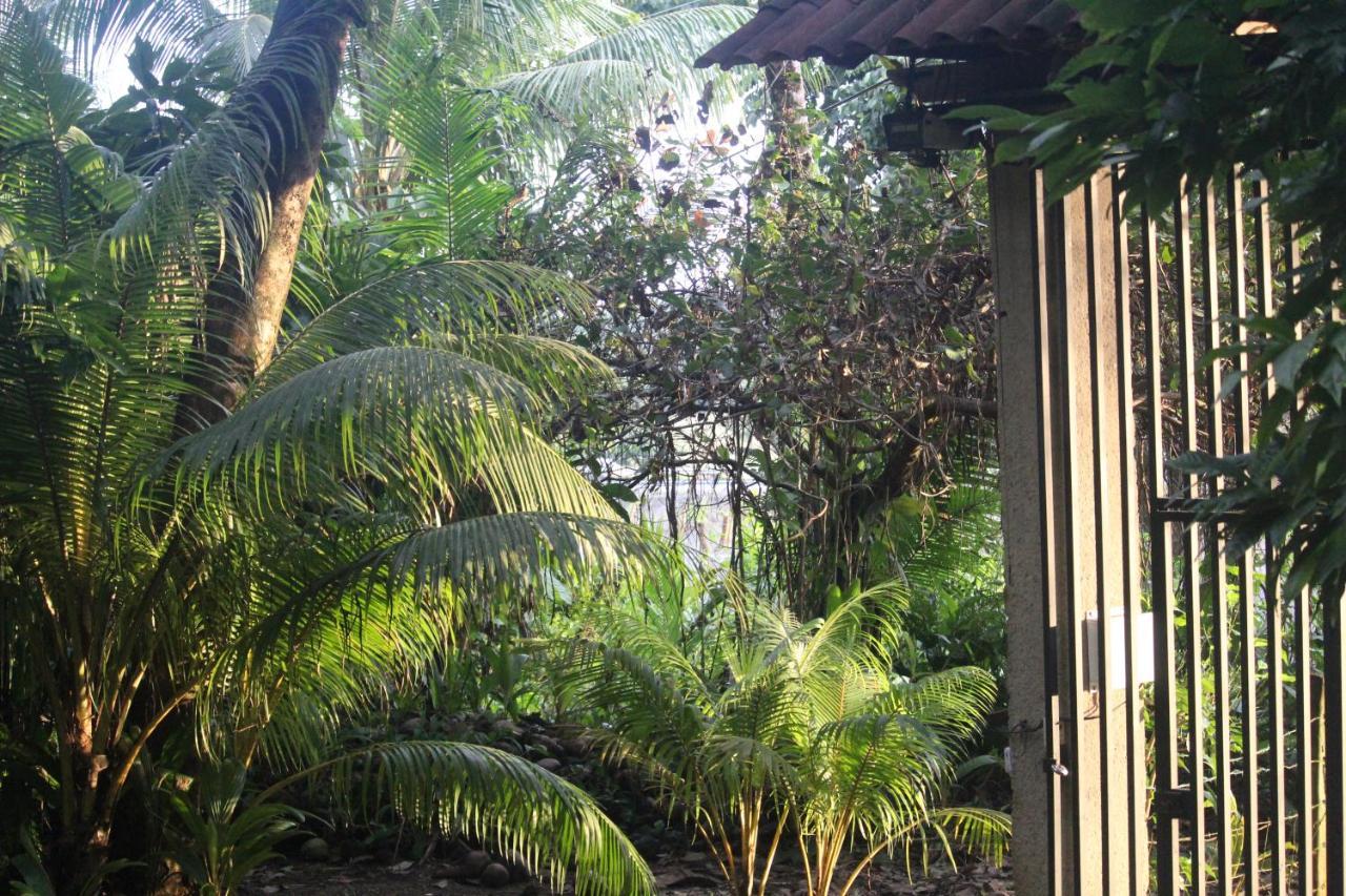 Iguana Libre Hotel Dominical Kültér fotó