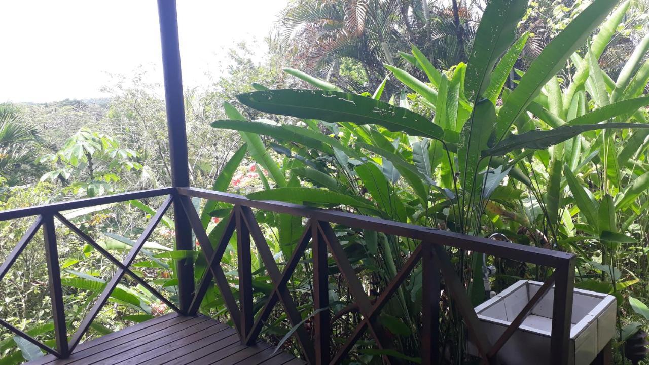 Iguana Libre Hotel Dominical Kültér fotó
