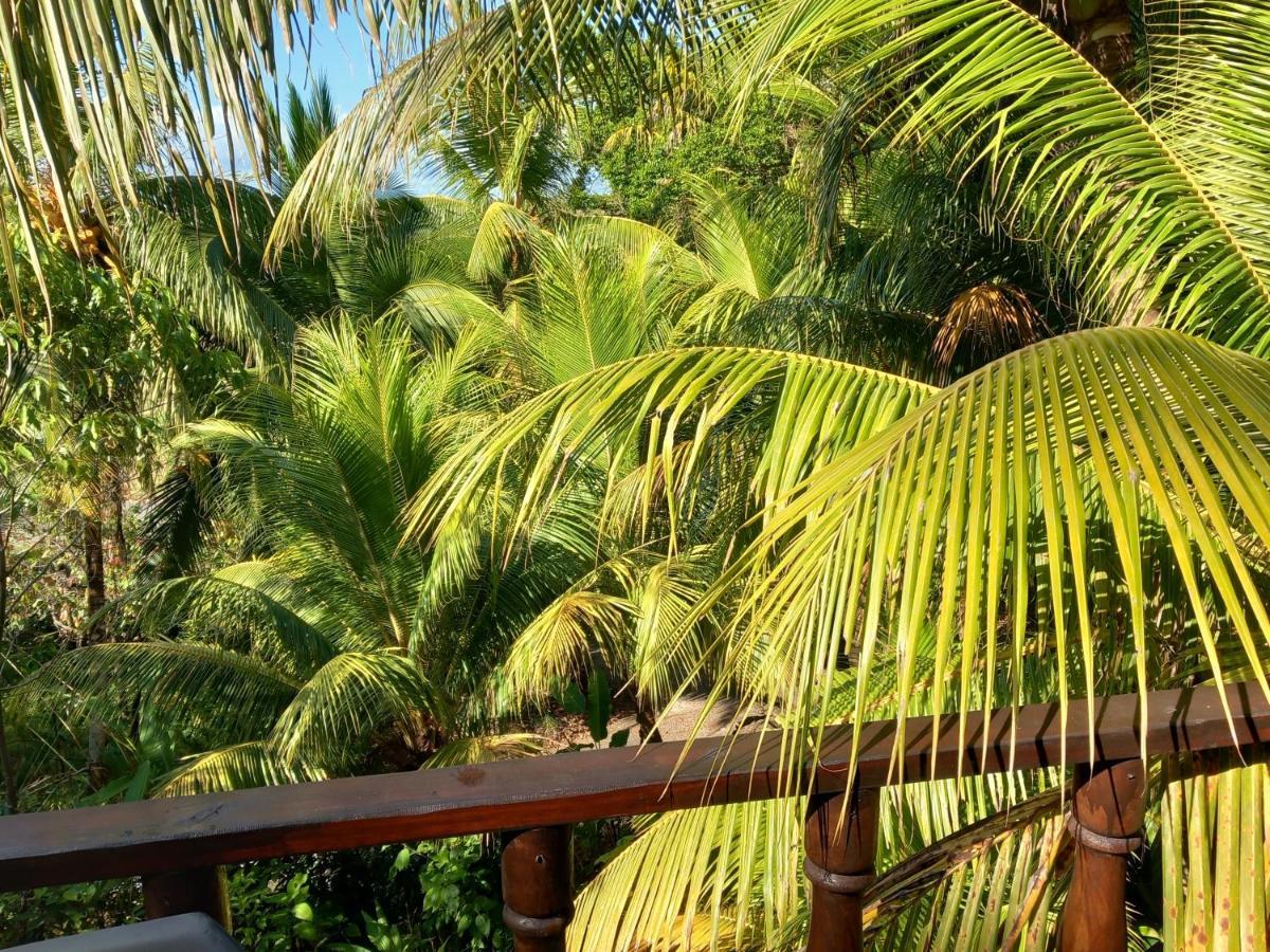 Iguana Libre Hotel Dominical Kültér fotó